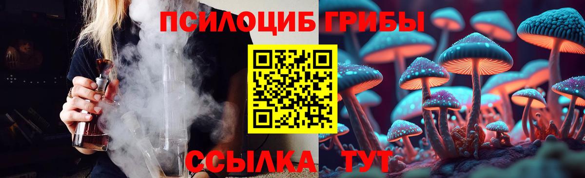 Псилоцибиновые грибы Cubensis  Вход с VPN  Углич 